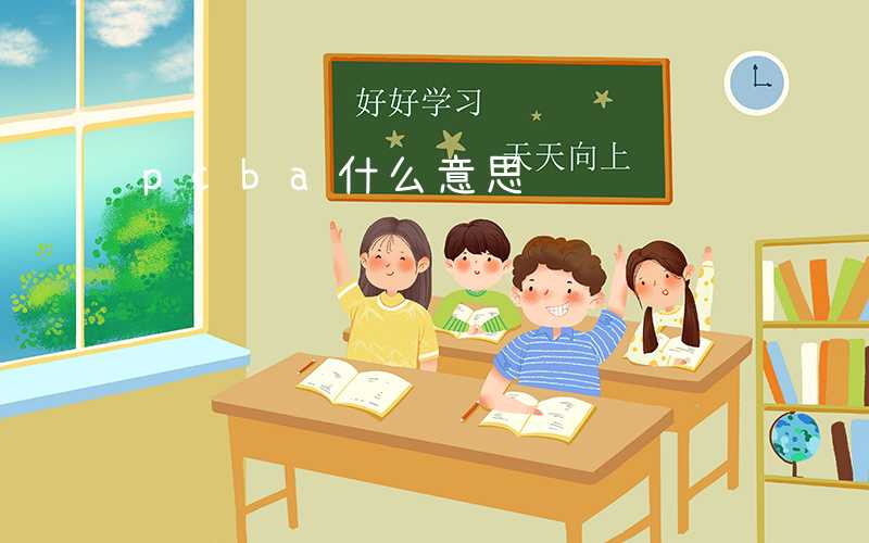 pcba什么意思